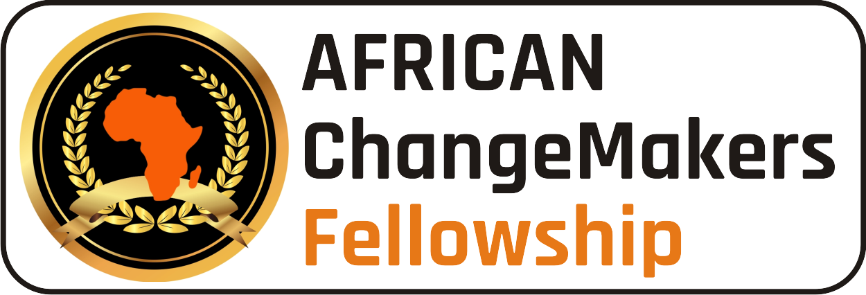 African ChangeMakers FELLOWSHIP